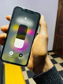 A picture of LIPIA HII CHAP 700 000 . IPHONE 11 face ID