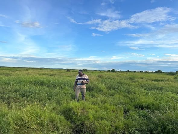 A picture of PRIME AGRICULTURE INVESTMENT 492 ACRES Looking for a plug and