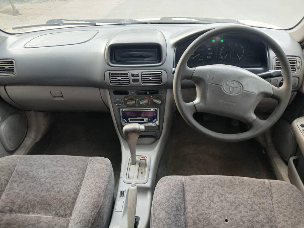 A picture of Kolla sprinter