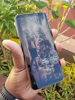 iphone 8