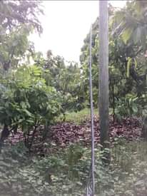 A picture of Kiwanja kinauzwa