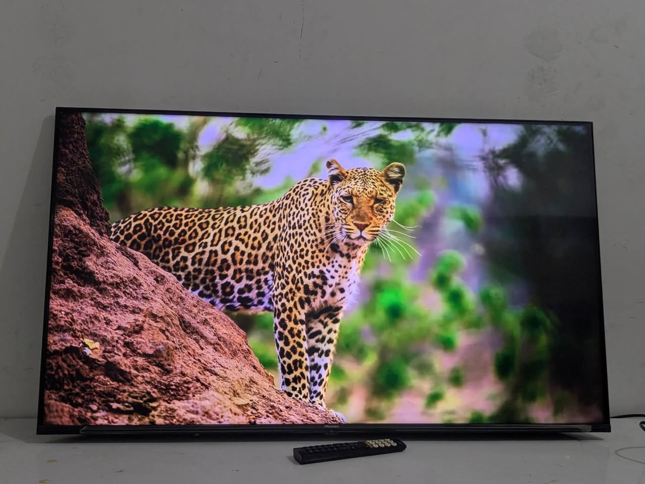 A picture of Tv