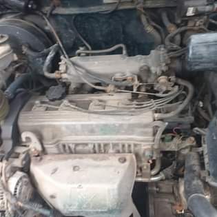 A picture of RAV 4