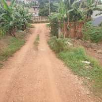 A picture of Land