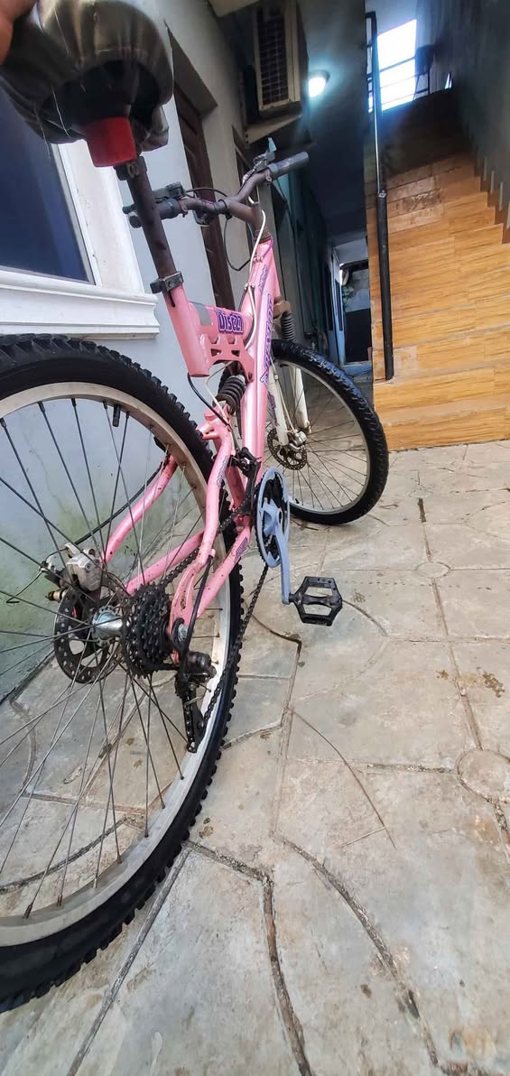 A picture of Double shock bicycle