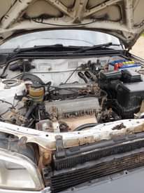 A picture of Toyota rav4
