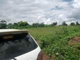A picture of Matugga kiweebwa plot with a title at only 7 5