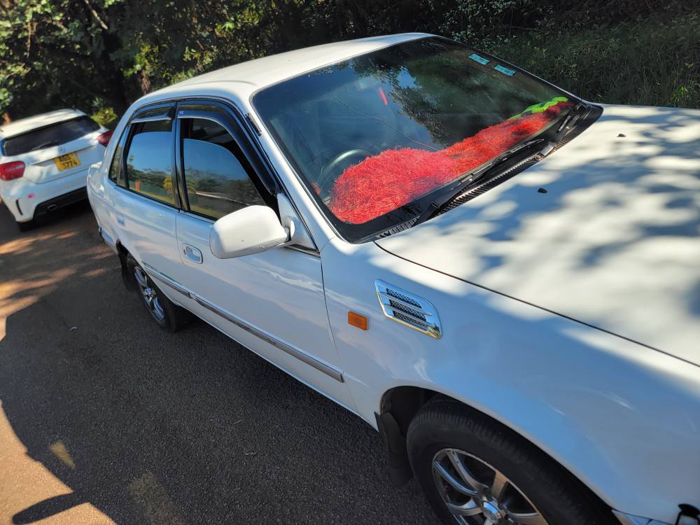 used toyota corolla