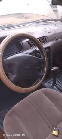A picture of CREAM COLOR CAMRY PENCIL LIGHT