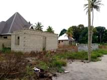 A picture of Freew inauzwaa million 4 5
