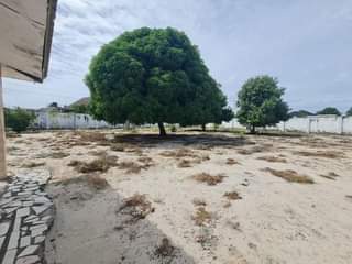 A picture of YARD INAUZWA