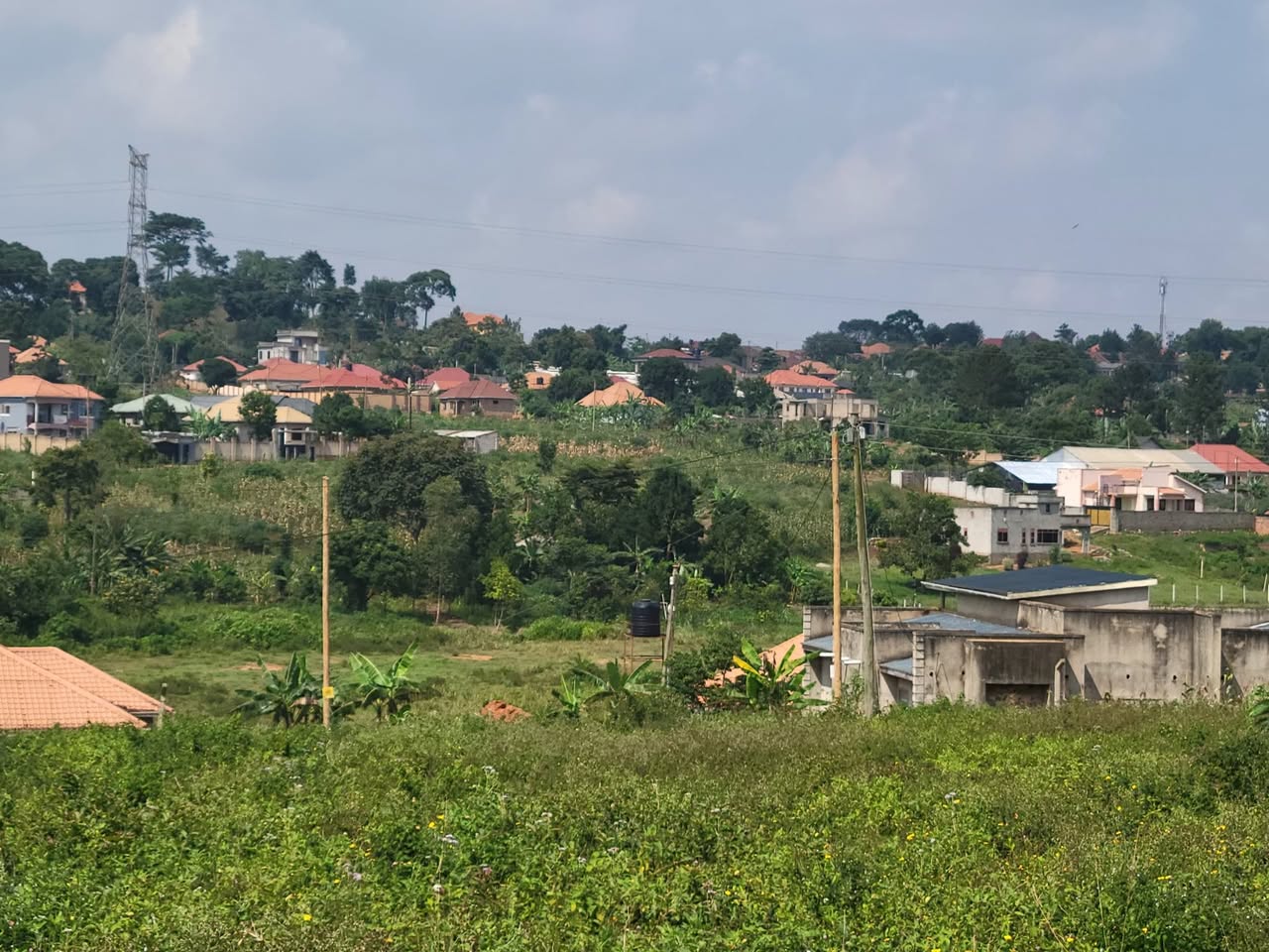 plots mukono