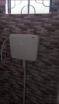 A picture of Chumba
