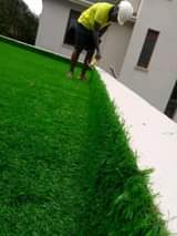 A picture of Carpets