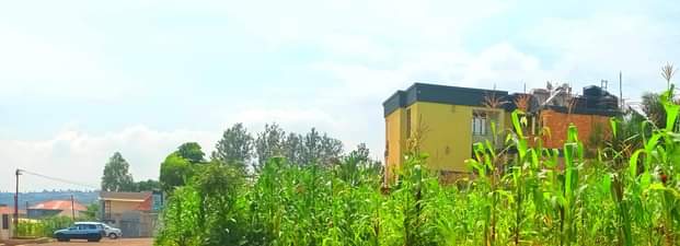 kagugu accommodation