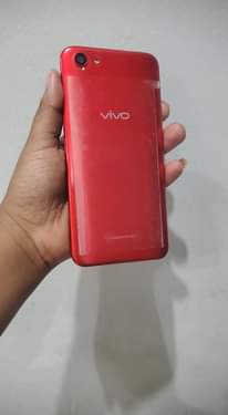 A picture of Vivo Y81s