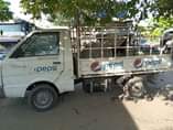 A picture of Ashok