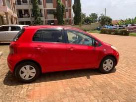 A picture of Vitz