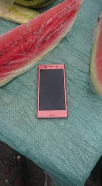 A picture of Sony xperia XZ1 compact 0749633114