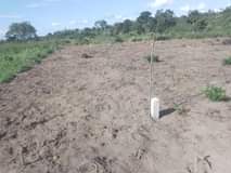 A picture of VINAUZWA LAKI 5 CALL 0786111796 0744740524
