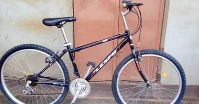 A picture of MOUNTAIN BIKES