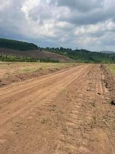 A picture of Cheap Plots For Sale Bulamu Town Mityana Road Private Land