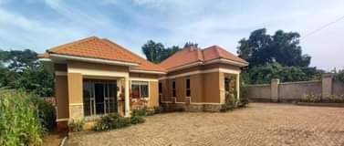 A picture of Rentals On Quick Sale found in Wakiso Nkoowe Making 1