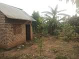 A picture of 3Acres on sale 100m all located kiwebwa nakikungwe we branch