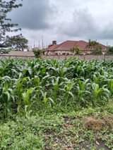 A picture of Kiwanja kinaunzwa burka arusha