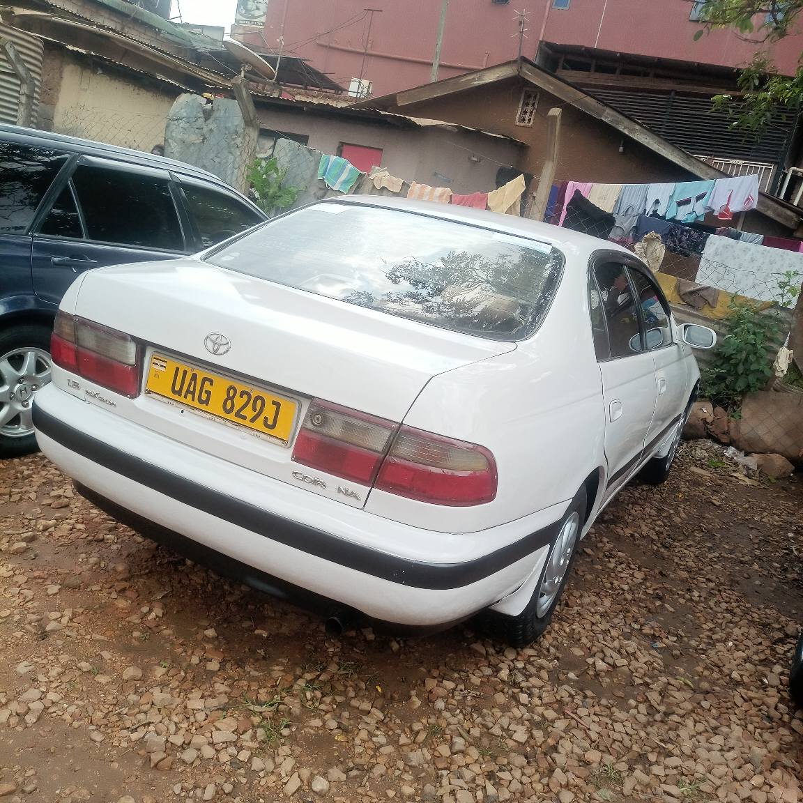 toyota corona