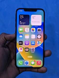 A picture of IPhone 12 pro max
