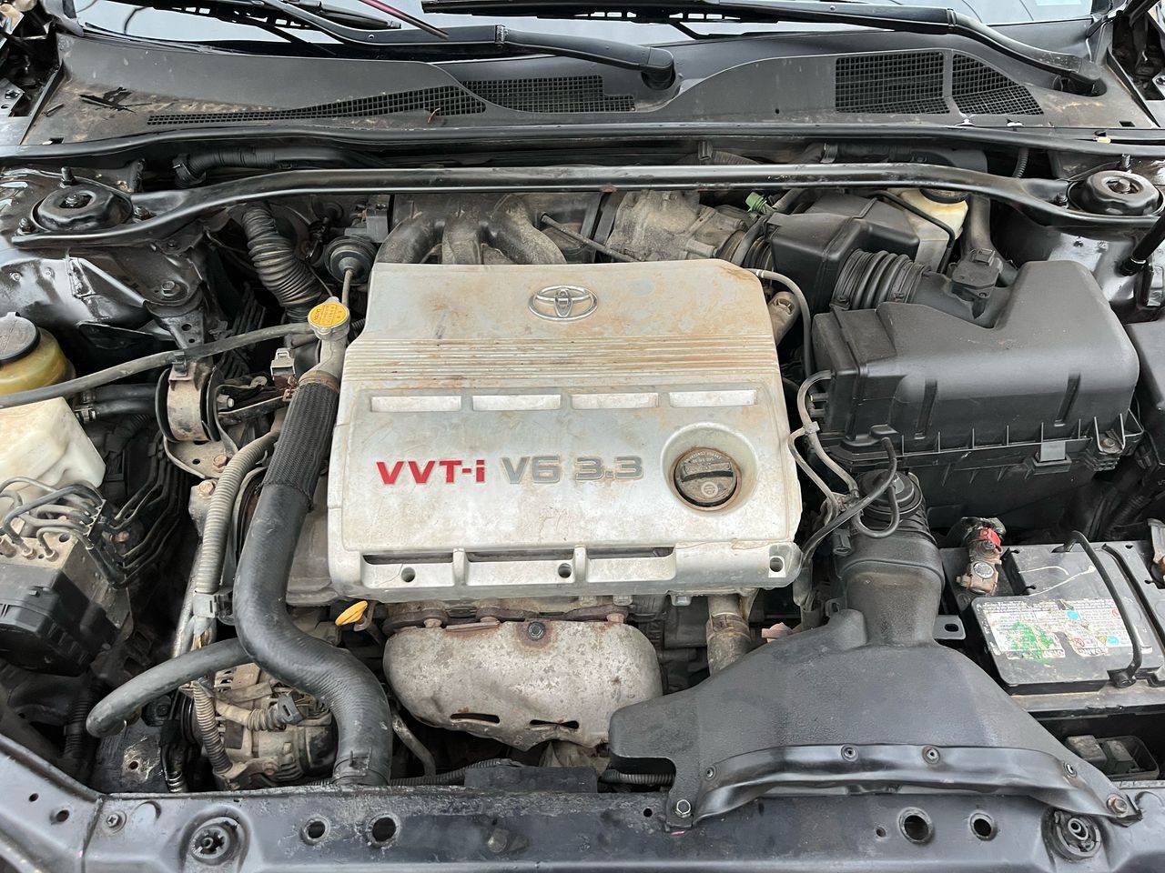 A picture of Toyota solara