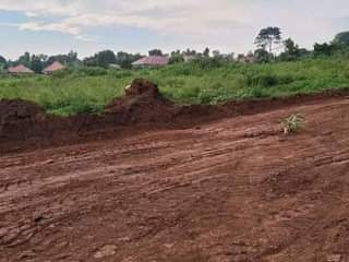 A picture of Nkowe wakiso_ Estate Each plot goes at 25m. With ready