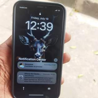 A picture of IPHONE X