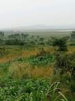 A picture of 10 Acres of Land available for sale in Kamengo on