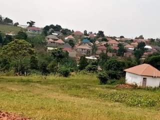 A picture of PRIME PLOTS FOR SALE LOCATED WAKISO NAMUSERA