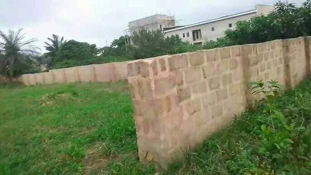 A picture of 50 by 100