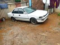 Thozamile G.