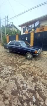 mercedes benz w123