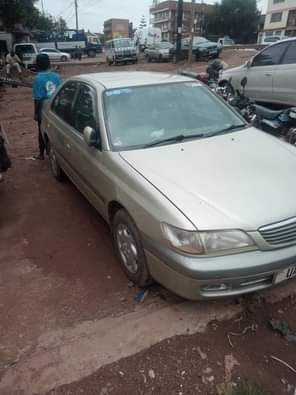 A picture of 13m 0707033900