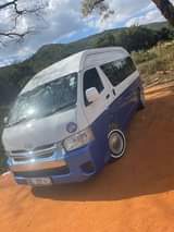 Machochi L.