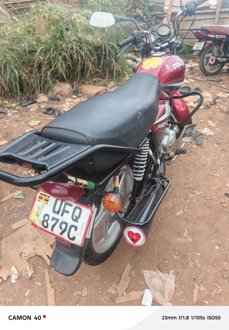 motorbikes