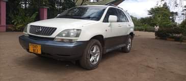 A picture of harrier 0767410504