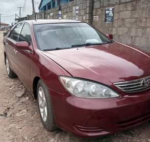 A picture of 08114560910 Serious buyer only is needed to call my number