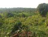 A picture of  HOT DEAL QUICK 6.5m each SALE 80 ACRES OF