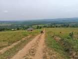 A picture of Kakiri titled estate plots for sell