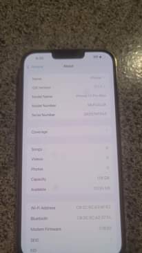 A picture of iPhone 13 Pro Max