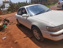 A picture of 4 8m 0741616061 or 0764612811