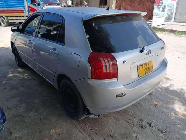 A picture of INATUPWA RUNX