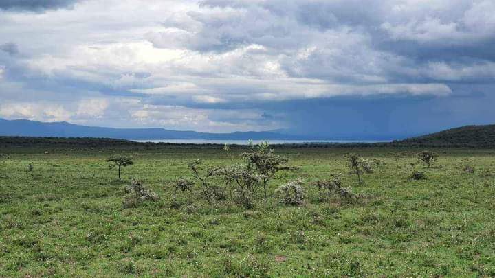 agricultural